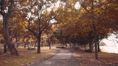 Walk path in public park with calm wind beside the lake Stock Footage 222143154