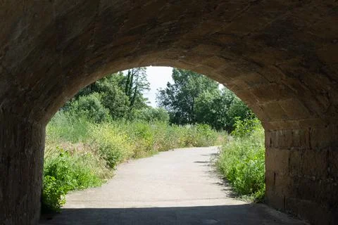 A walk path surrounded by greenery crosses a tunnel Stock Photos