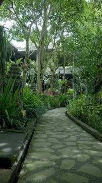 Walk path surrounded by plants 04 Stock Photos