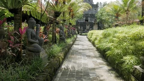 Walk path surrounded by plants 05 Stock Photos