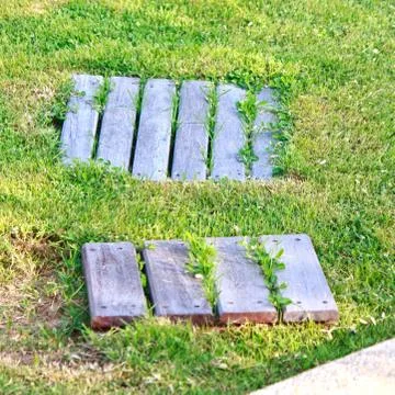 Walk path in the yard Stock Photos