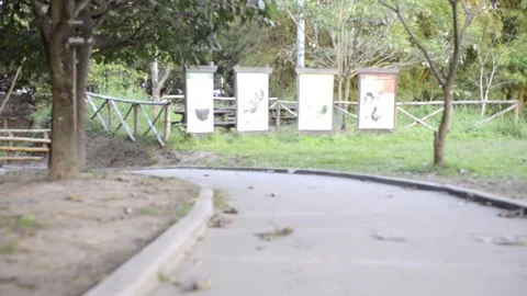 Walk pathway section in a park in El Salvador bicentenario Central America Stockbeeldmateriaal 145863514