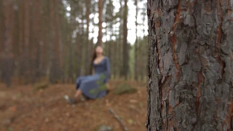A walk in the pine forest. Stock Footage 71289132