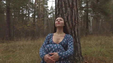 A walk in the pine forest. Video stock 71297790