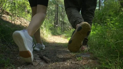 Walk on the pine trail 3 Vidéo 236144138