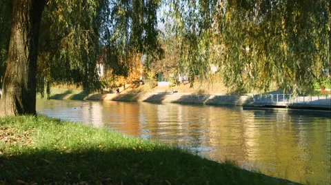 A walk by the river Video stock 56738767