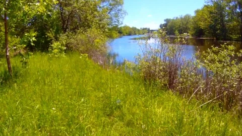 Walk with a Riverview Video stock 83353566