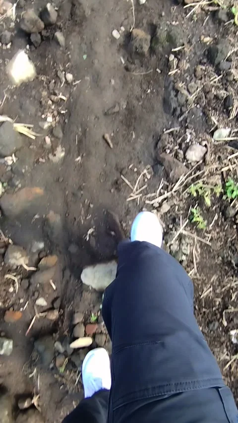 Walk On Rough Ground Filled With Rocks And Small Green Plants Stock Footage 339317084