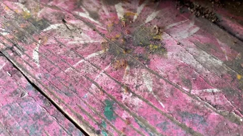 Walk In A Row Video stock 241890941