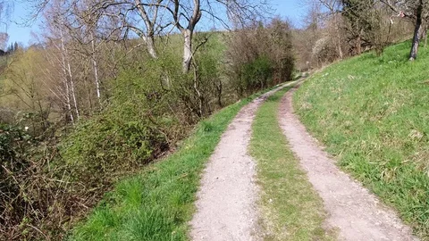 Walk rural path between trees and meadows Stock Footage 128922227