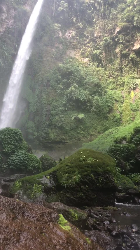 Walk to a serene waterfall Stock Footage 243155272