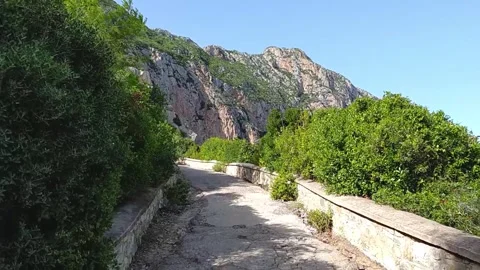 Walk shot in a mountain path Stock Footage 266294516