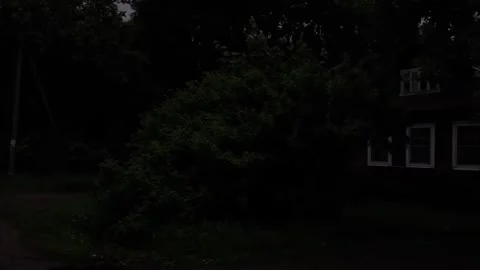 Walk in silence Stock Footage 316946655