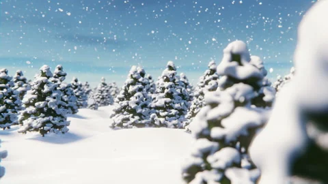 A walk in the snow-covered forest between the Christmas trees during a snowfall Stock Footage 219542996
