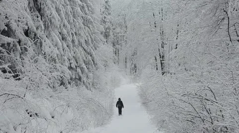Walk in snow Stock Footage 21324390