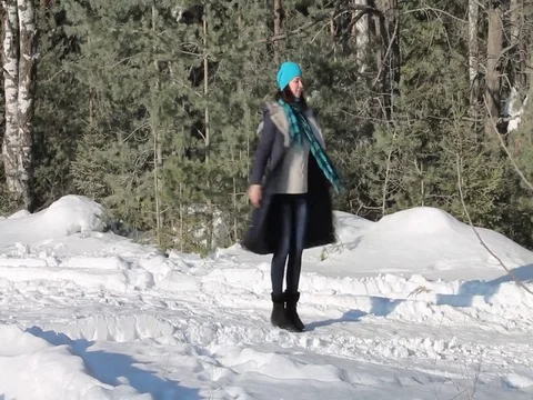 Walk in the snow Stock Footage 72266144