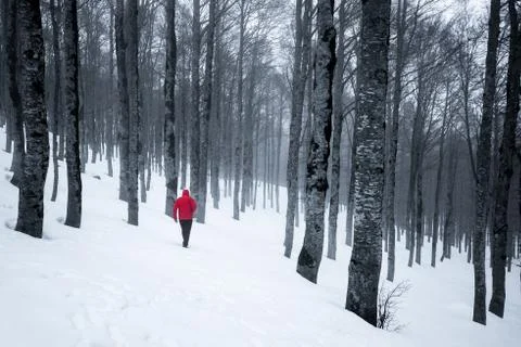 Walk on the snow Foto stock