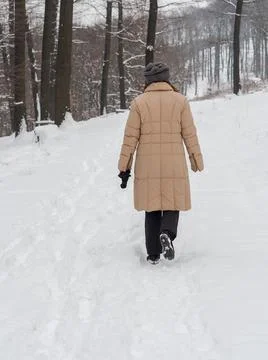 Walk in the snow Stock Photos