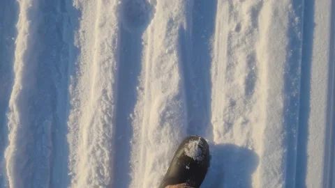 Walk in the snow in winter. Top down view Stock-Footage 230845866