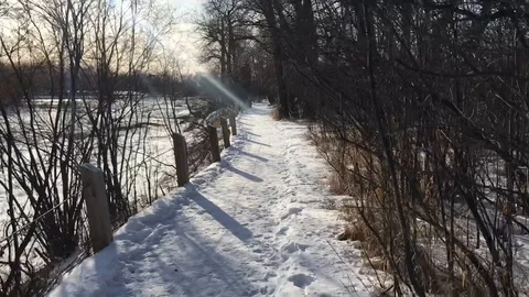 Walk on a snowy path Stock Footage 122051823