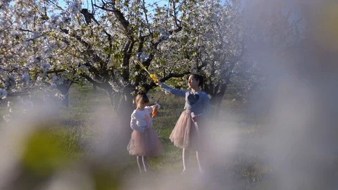 Walk in the spring garden of two sisters Stock Footage 102682389