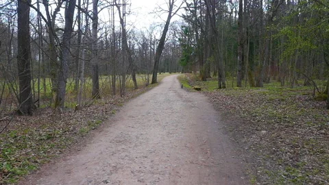 A walk in the spring park in early spring. Stock-Footage 192626508