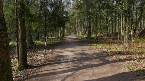 A walk in the spring park in early spring. 스톡 동영상 192674124