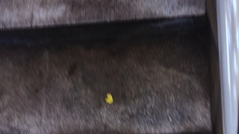 Walk up the stairs close up Stockbeeldmateriaal 112082434