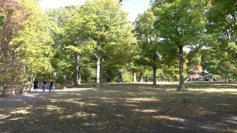 Walk in state park Stock Footage 247718215