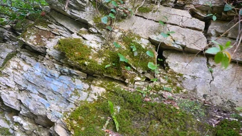Walk in the stone rocks of the Caucasus 스톡 동영상 87534167