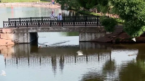 Walk in summer on the bridge at the pond Stock Footage 70492204