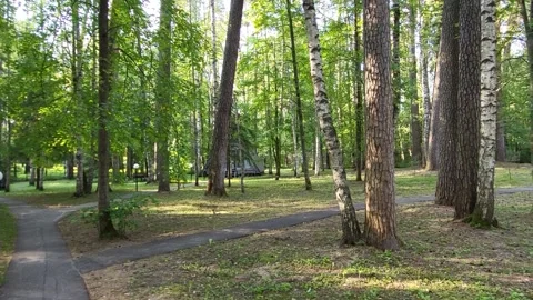 A walk in a summer forest park with triangular holiday houses. Stock Footage 315222894