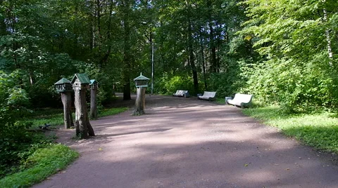 Walk in the summer Park. 스톡 동영상 66724386