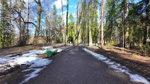 A walk in the sunny park in early spring Stock-Footage 334058849