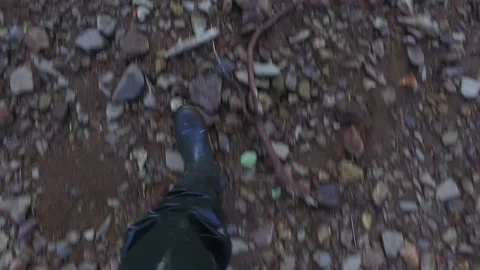 Walk in the taiga Stock Footage 218032550