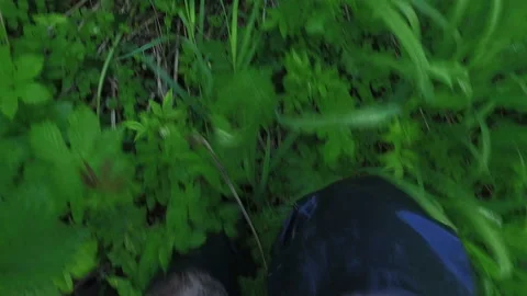 Walk in the taiga Stock Footage 218214029