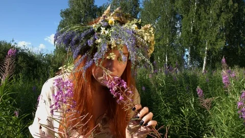 Walk in the thickets of willow-tea. Video stock 78736488