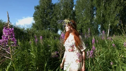 Walk in the thickets of willow-tea. Видео 78736862