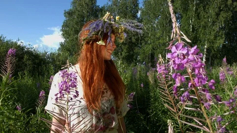 Walk in the thickets of willow-tea. Stockbeeldmateriaal 78737050