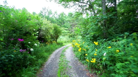 Walk on a thin mountain path with flowers (slow) Stock Footage 67473673