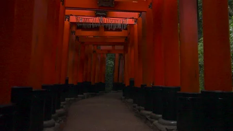 Walk though torii gate in the rain, kyoto, japan Video stock 277954496