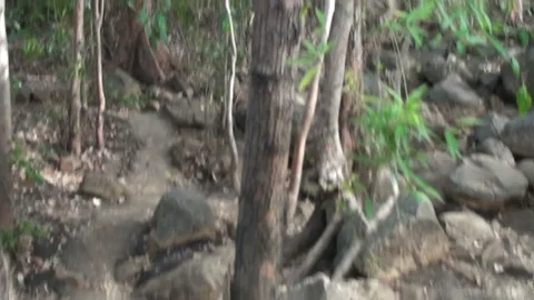 Walk through the australian outback Stock Footage 95035499