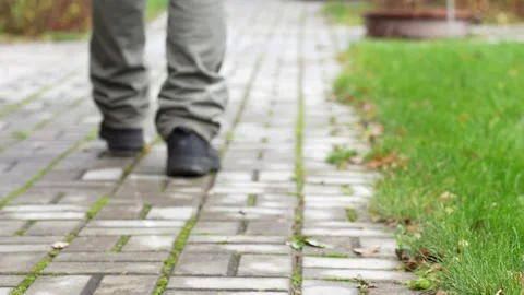 Walk through autumn: blurred steps on a garden path Video stock 256229179