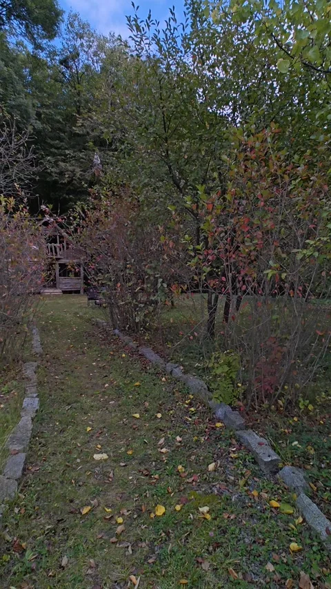 A walk through a beautiful park along a narrow path Stock Footage 318320214
