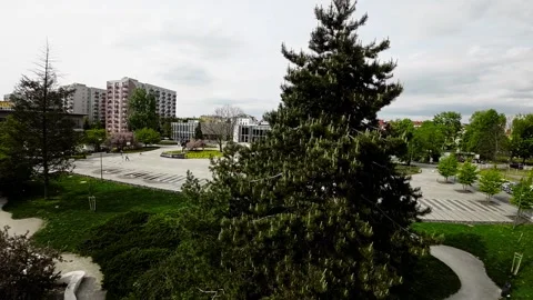 A Walk Through a Beautiful Park Video stock 280339538