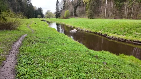 A walk through the beautiful spring park. Slowmotion 스톡 동영상 320563691