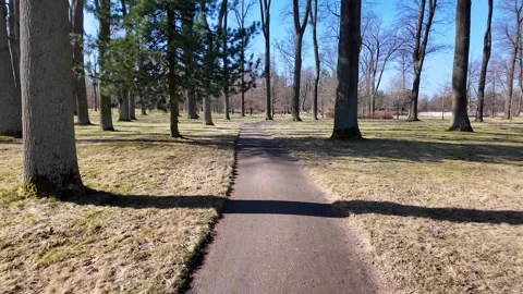 A walk through the beautiful spring park Stock-Footage 335082487