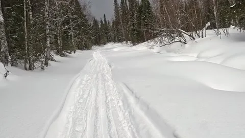 Walk through a beautiful winter forest. First-person view Stock-Footage 180942829