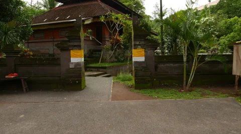 Walk through dark mossy split gate, decorated by white and yellow cotton Stock Footage 52079653