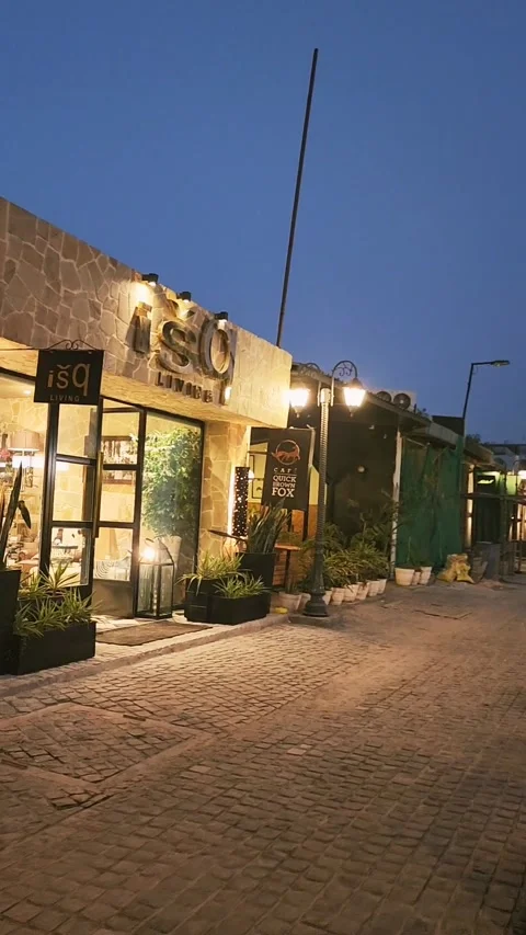 Walk through Dhan Mill compound, New Delhi, India Stock Footage 237692478